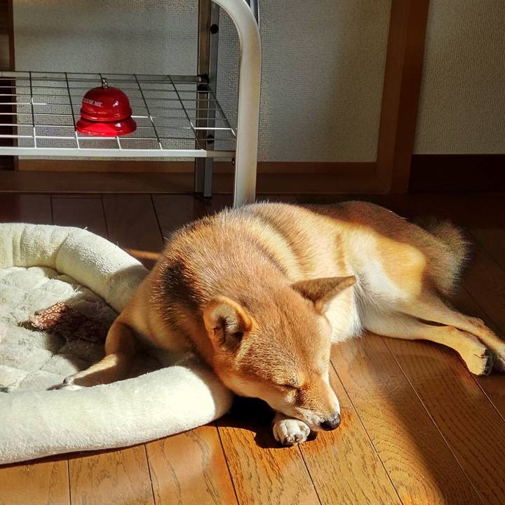 7ca2df04 b2ac 421f b6dd 00b0123e9bc0 1636084517021