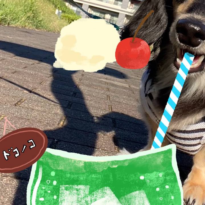 7ca2f0bc 634d 404c 814e 46a97fa0f06a 1755216305953