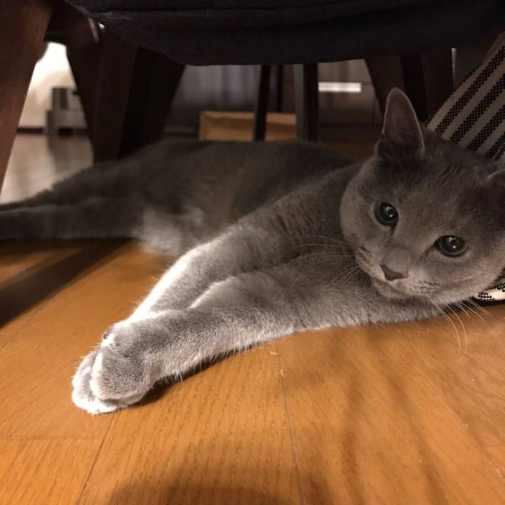 7ca2f0ef 6891 4765 845a 13add812b631 1582670594777