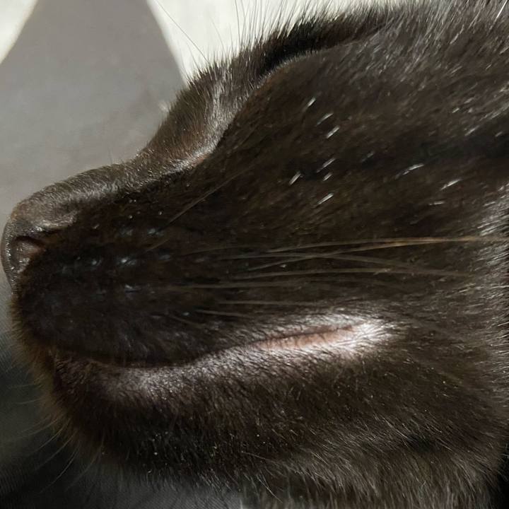 7ca33534 3851 468f ac58 f82b87f6b217 1616324787556