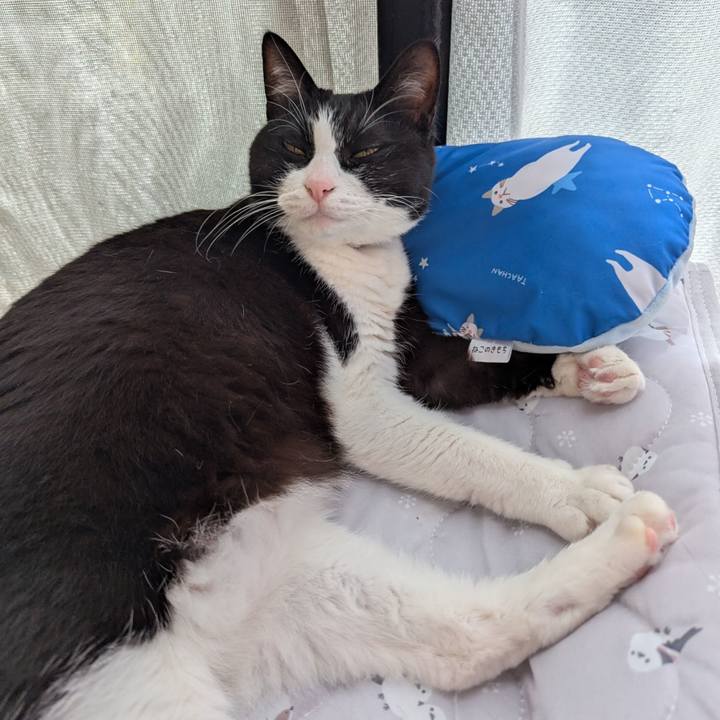 7ca34ce4 264a 4453 889a eec77c6453c3 1747640612802