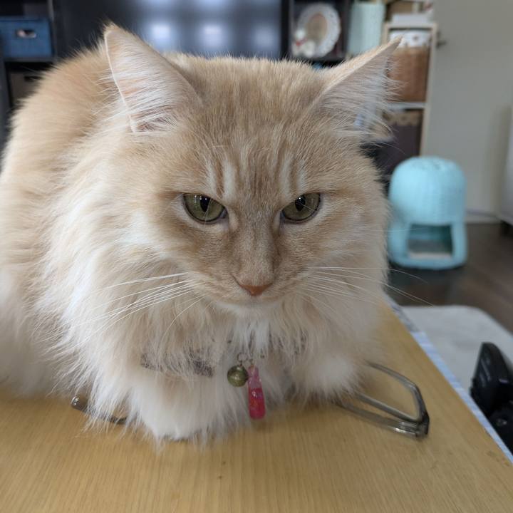 7ca38708 e66e 4cce b7a5 f89f7693415e 1773626354187