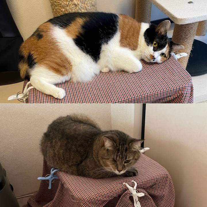 7ca3d2d9 6607 4bfa af1d 58c0a58ff954 1635240985483