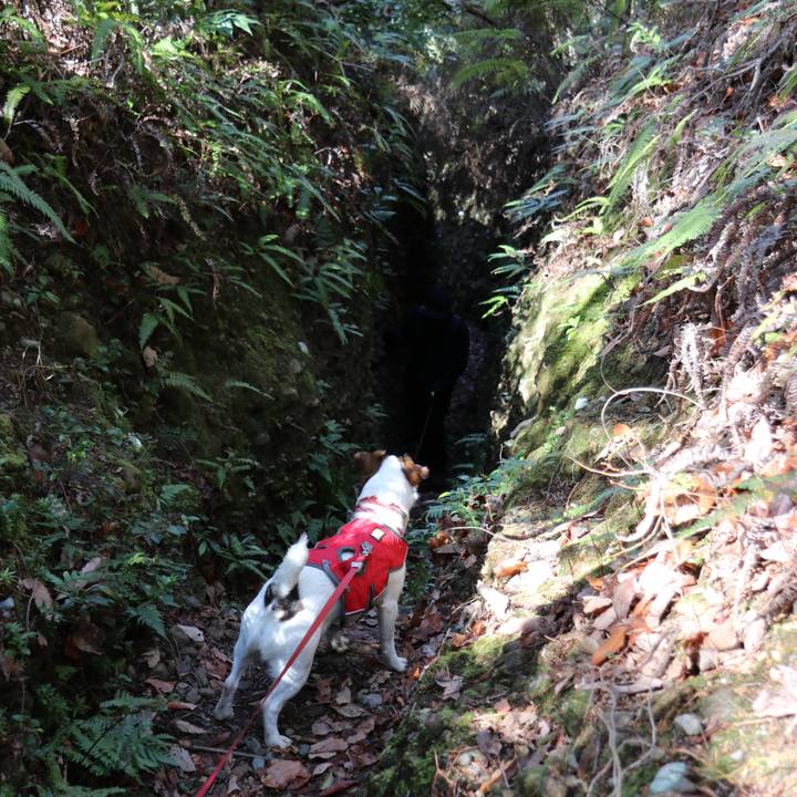 7ca3f09f 4fb9 414e a094 221e353cc541 1518325783855