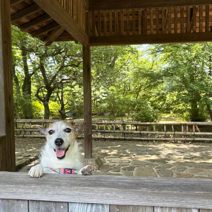 7ca40541 9078 4277 baf4 a883f2732773 1750807530820