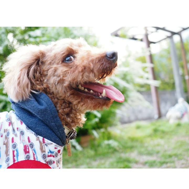 7ca40707 c280 473e a37c 9be806850dc3 1523272887120