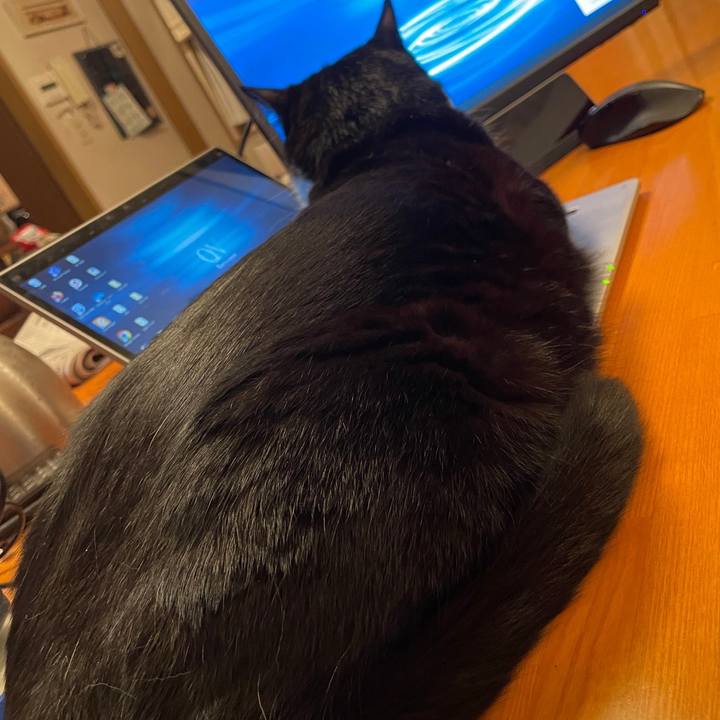 7ca42641 cb12 4576 bb49 bd0041030a05 1667649622437