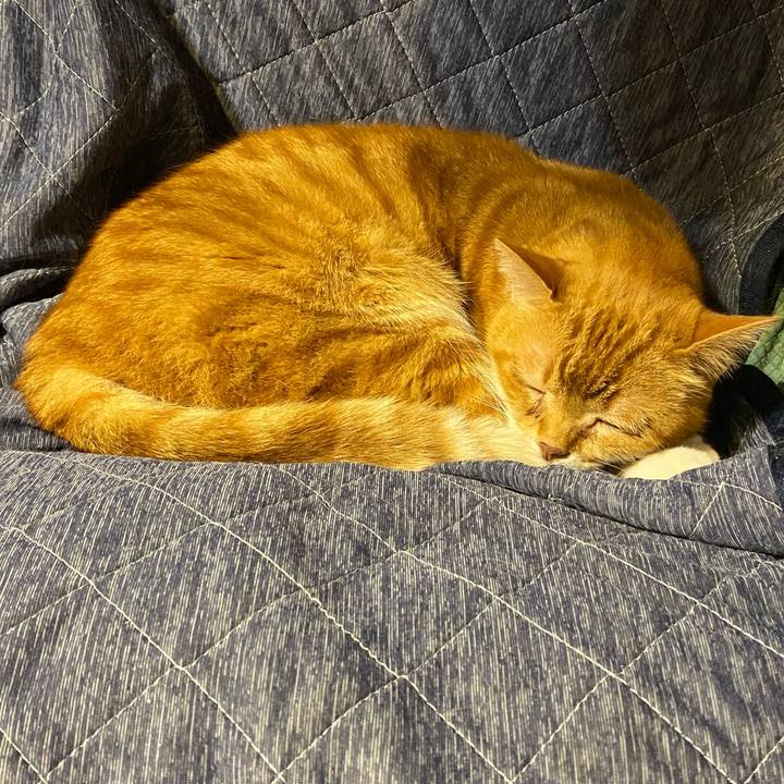 7ca45623 b6f8 4462 add8 458bb1532b94 1621610488197