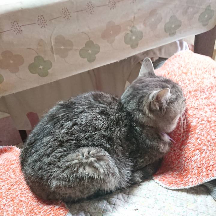 7ca456ac b870 4cc9 9dc3 0e5f67b55db7 1583626799405