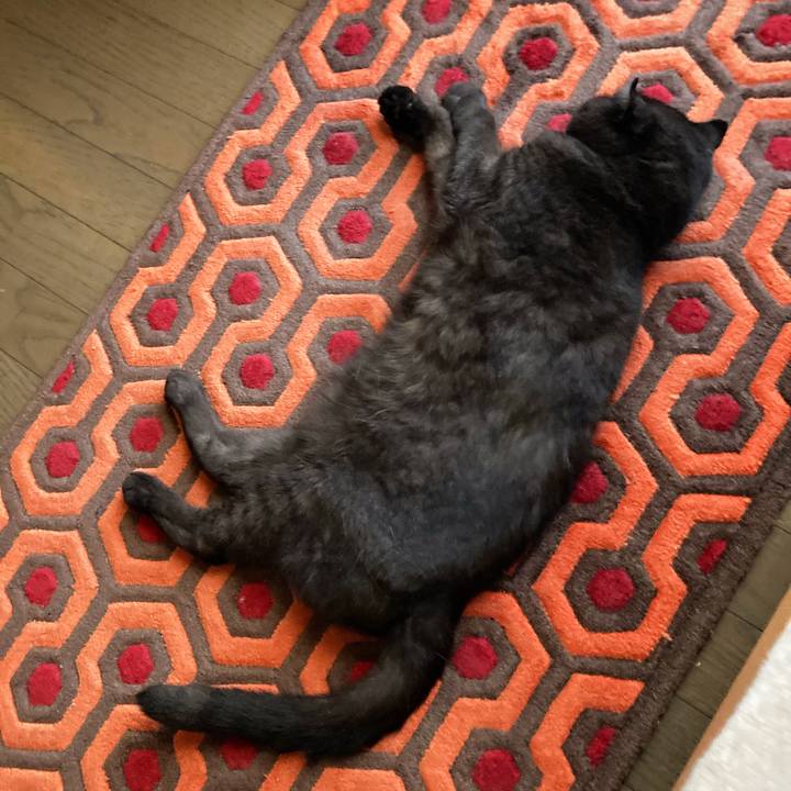 7ca46e4b 9a36 47d9 8f66 f4d3d6235a9e 1597890852422