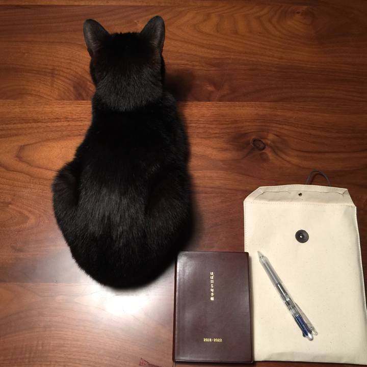 7ca48a2b 137b 4203 9f1b 81219c618a88 1526216988803