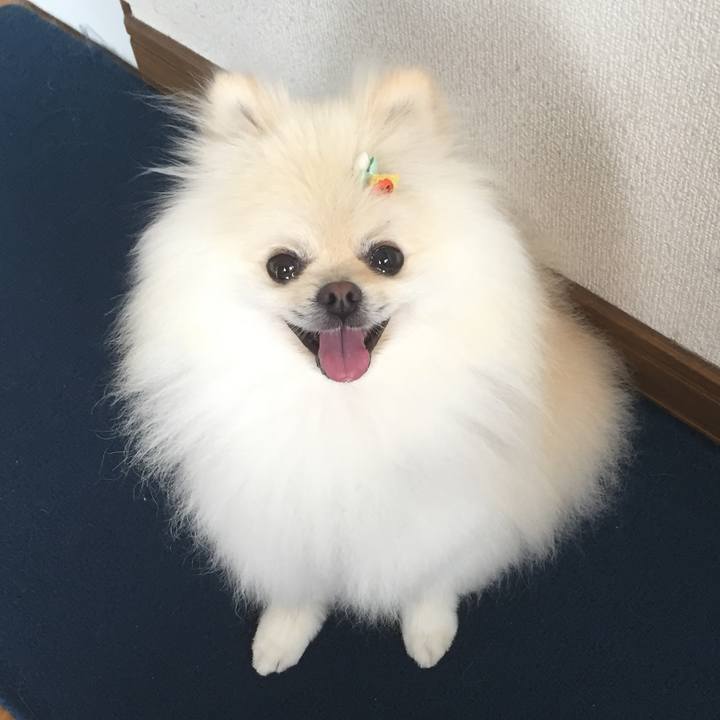 7ca4a470 f665 46d8 825b d70a818ea051 1563579090135