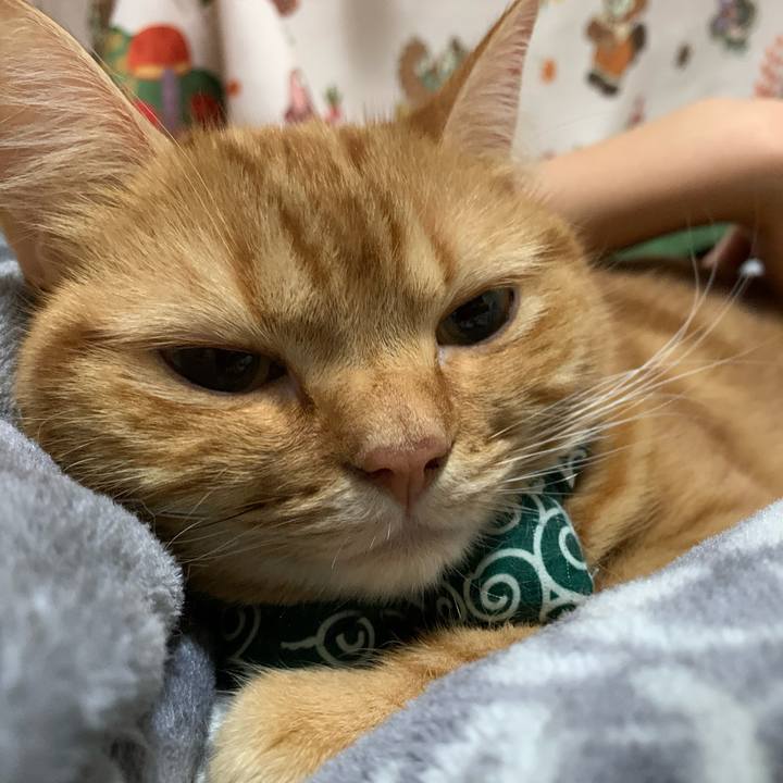 7ca4a9dd 8acb 4c27 bfc6 3f94a345a264 1573776373156