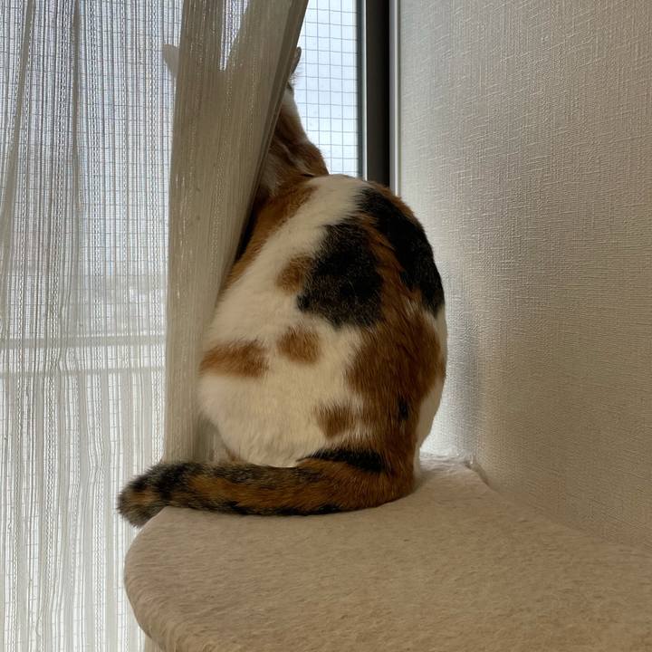 7ca50052 dde7 4ac6 bb6e aa694dfbde53 1606275214616