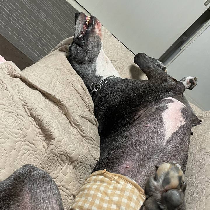 7ca52023 65bf 4667 a64f 1063824366b7 1627041010903