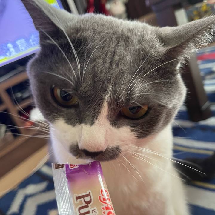 7ca54936 ca23 4cc2 ac6e c8394877978a 1660549582394