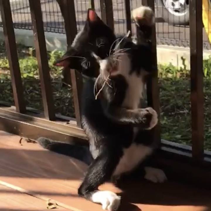 7ca5520a fe73 4800 ba9d b0d51fff223f 1729541776515