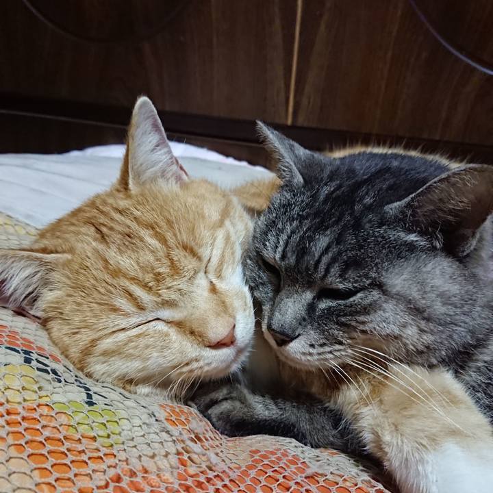 7ca57309 5b2a 46fa 8866 b52b12e98101 1584450226760