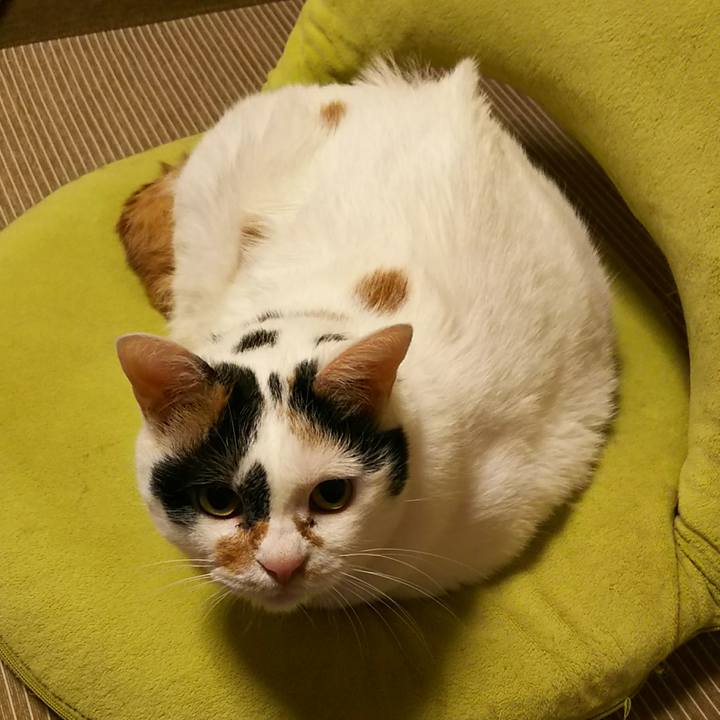 7ca59f95 6f6e 4547 808d 1b24518c36cf 1537275382471