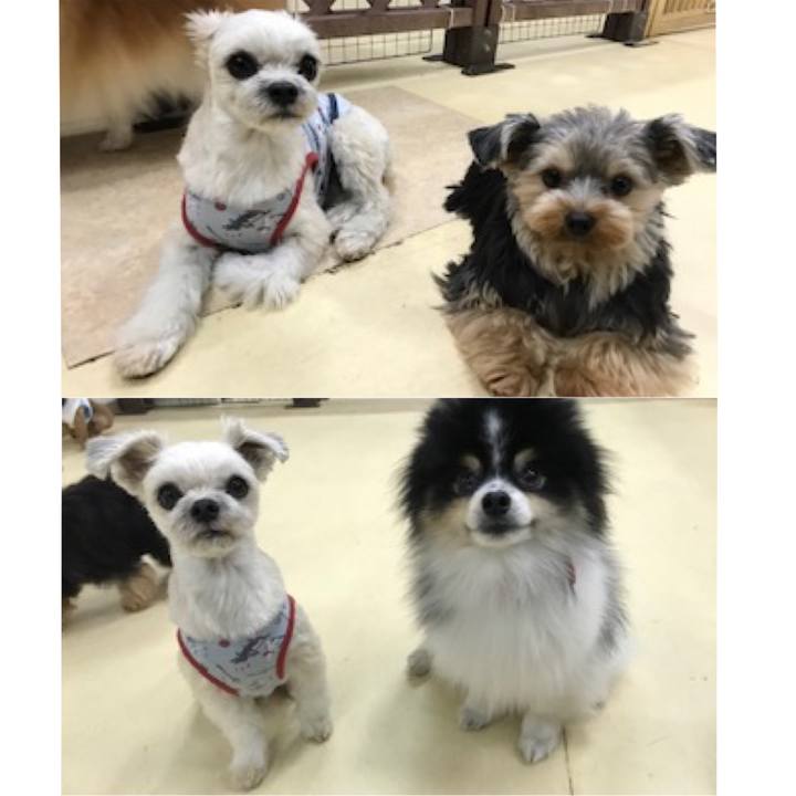 7ca59f9d cab3 4d35 91db 7411d831a507 1544527410933