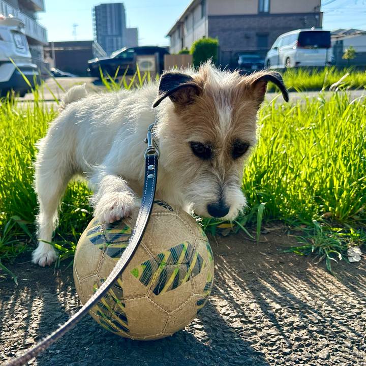 7ca5b9c7 12ed 4c53 96e9 4d88bd0b7d74 1746024400081