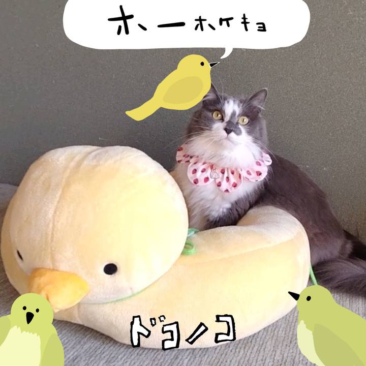 7ca5c500 6561 4b96 9717 9937c1fee889 1711191723131