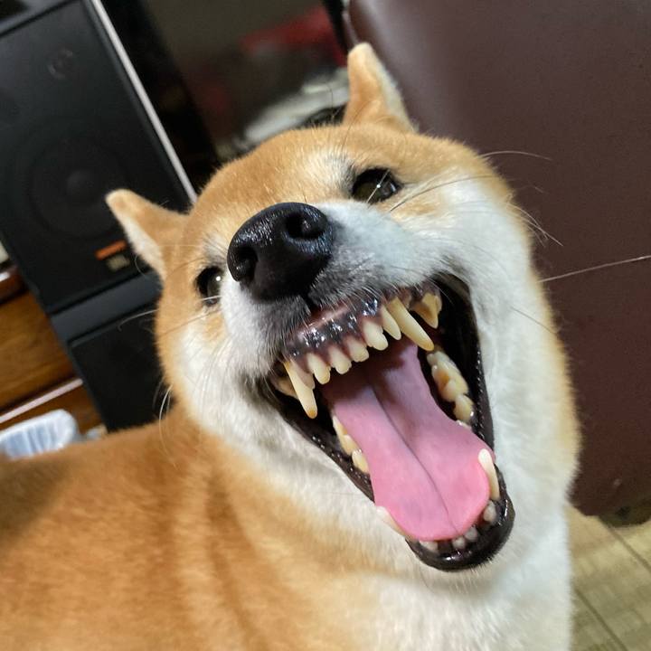 7ca5ce39 4845 4f40 aa16 a9e2de14209c 1658478696769