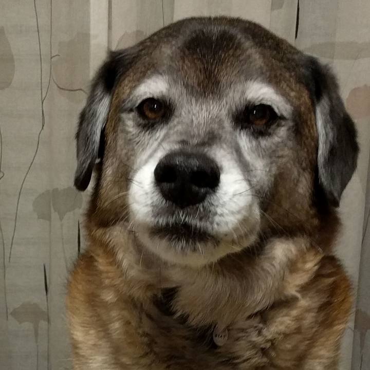 7ca5e255 c2e6 422d acf8 fc8b3e2d1fbe 1553002995637