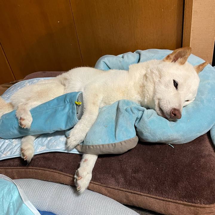 7ca63610 764b 462b b294 30bdcbed22e2 1652794689149