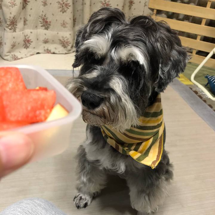 7ca6fa98 e3bf 4d91 8f69 8ba6cc98fab3 1627734691973