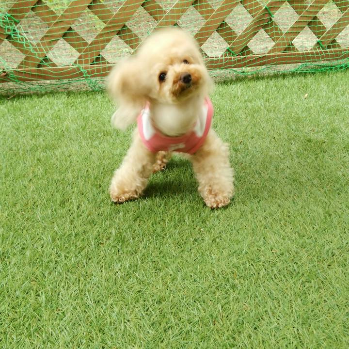 7ca70d11 316c 495f b52c b5b5f69d44bf 1528285255697