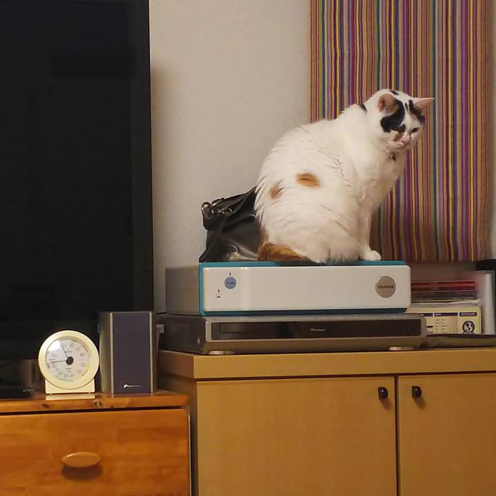 7ca7256d aecb 446f 9b29 a14c3b5a0893 1513610454289