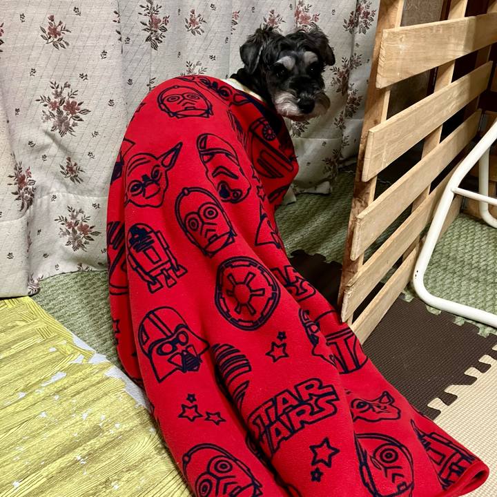 7ca74da6 dd06 4137 812b 1f071fc1c1d7 1734700731880