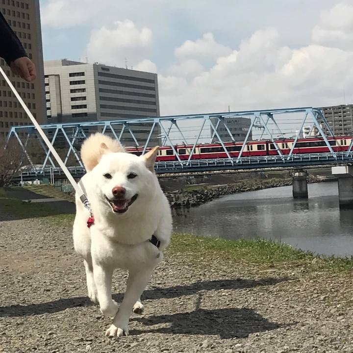 7ca7695f 151c 4bd2 bbe7 0b9b548b33c8 1521425469965