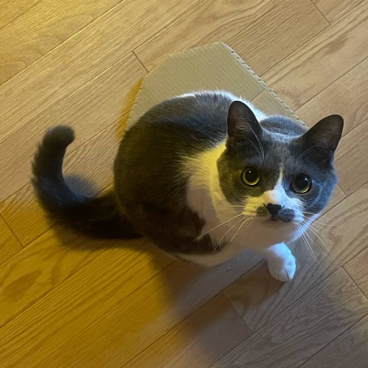 7ca77386 1d7b 4ab8 b5c7 4f101a998646 1749165280690