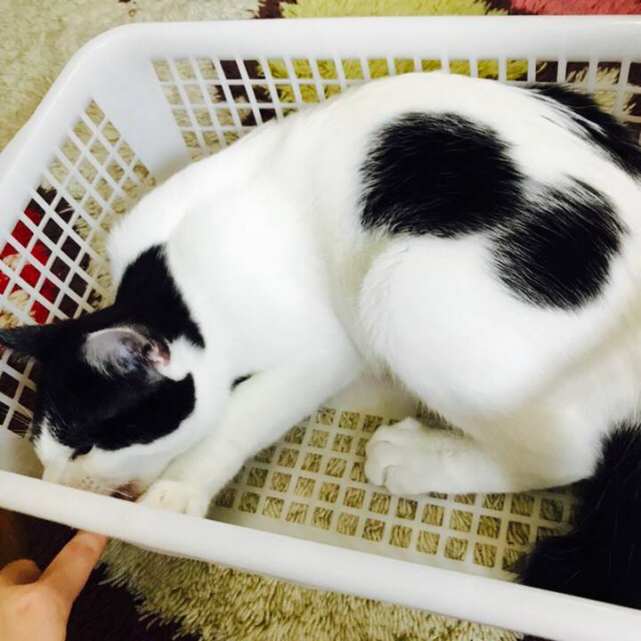 7ca7cdde 3c8c 4753 839e b963ef513c6f 1510162138583