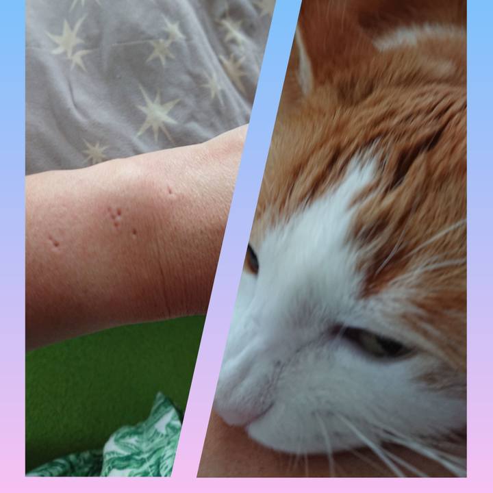 7ca7d255 1112 4683 ba14 a44c790c8bce 1559411420655