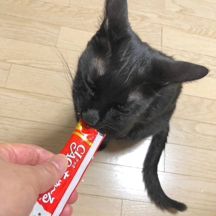 7ca7ec25 1bb1 435a 9f5b b90118a36a47 1596546339863