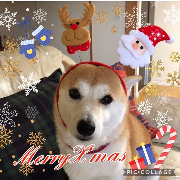 7ca7f12e 3750 47fb 9219 fffb5d92d170 1545643404410