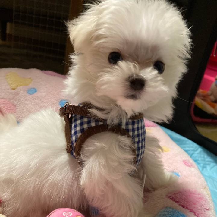 7ca814d7 2097 43c9 859f 4d4dced09d8a 1700989499398