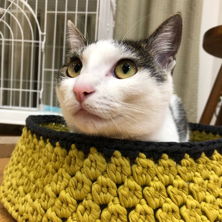 7ca823ae 0957 45c6 a0cd 1709afece19d 1588245800521