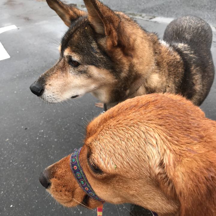 7ca82642 0b7b 4ca4 8b8d 733dd12786b9 1508109867915