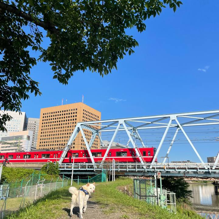 7ca8279d 4c2d 4bd3 9ba3 a11ec31270cb 1653707082732