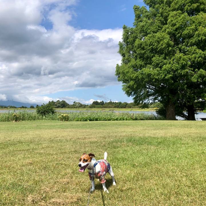 7ca832c6 9733 490a ad24 12eff7e1b66b 1598937697099