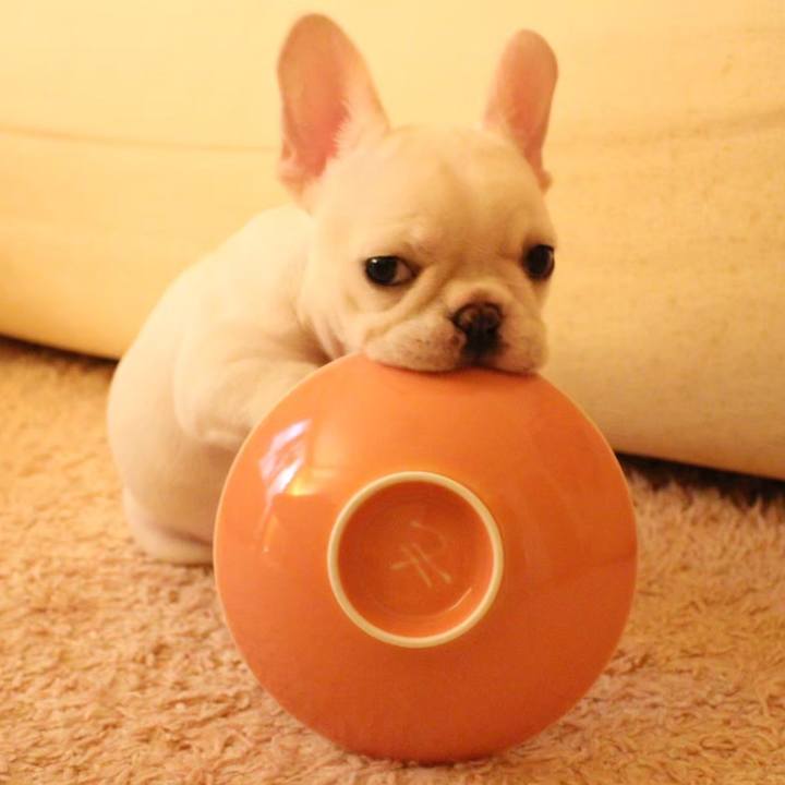 7ca83dce 5939 4596 b0f4 c4ac9b622d9a 1649578031854