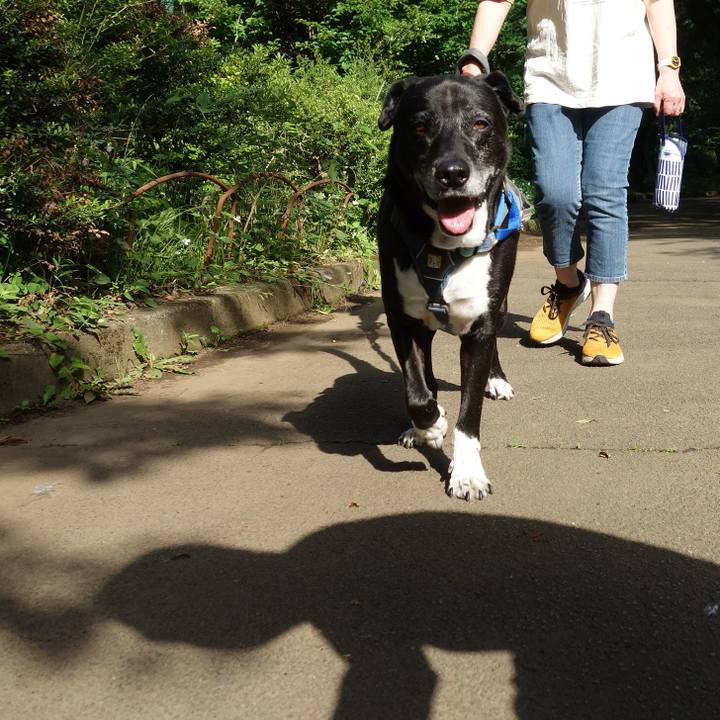 7ca879bb f875 4c24 aebc d07282af23d6 1747704326013