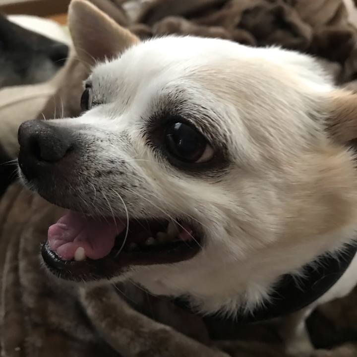 7ca8b908 2bdc 479b a5bb aeabcb58c18a 1553859538912