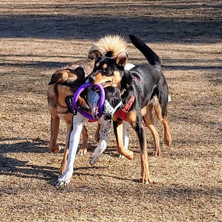 7ca8c480 0f0c 4039 aa64 5e125d6cddfd 1707624354303