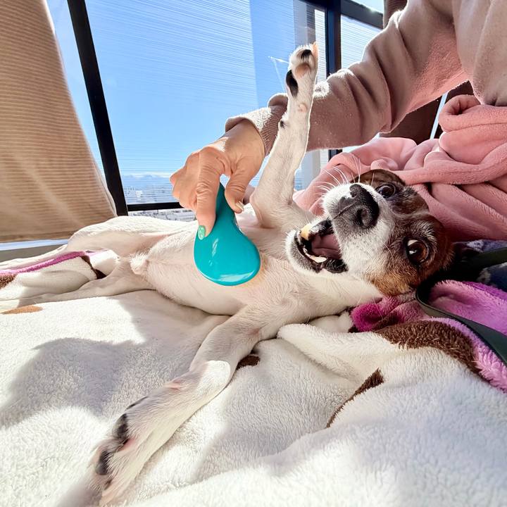 7ca981ce bb0a 4819 b984 22e44749b8aa 1772078837269