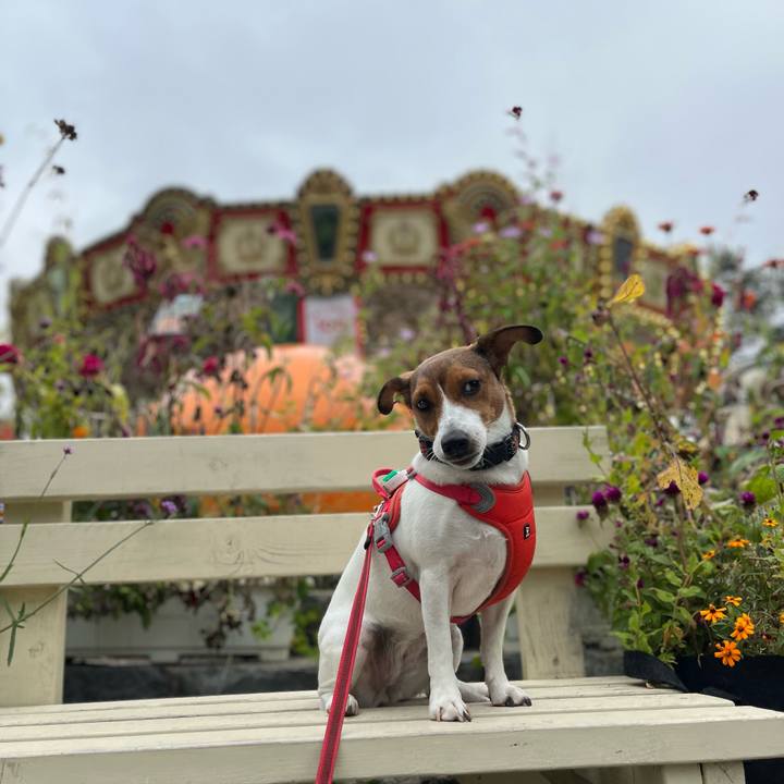 7ca999b7 7efd 475e 8b9e 9587bd602049 1758623167868